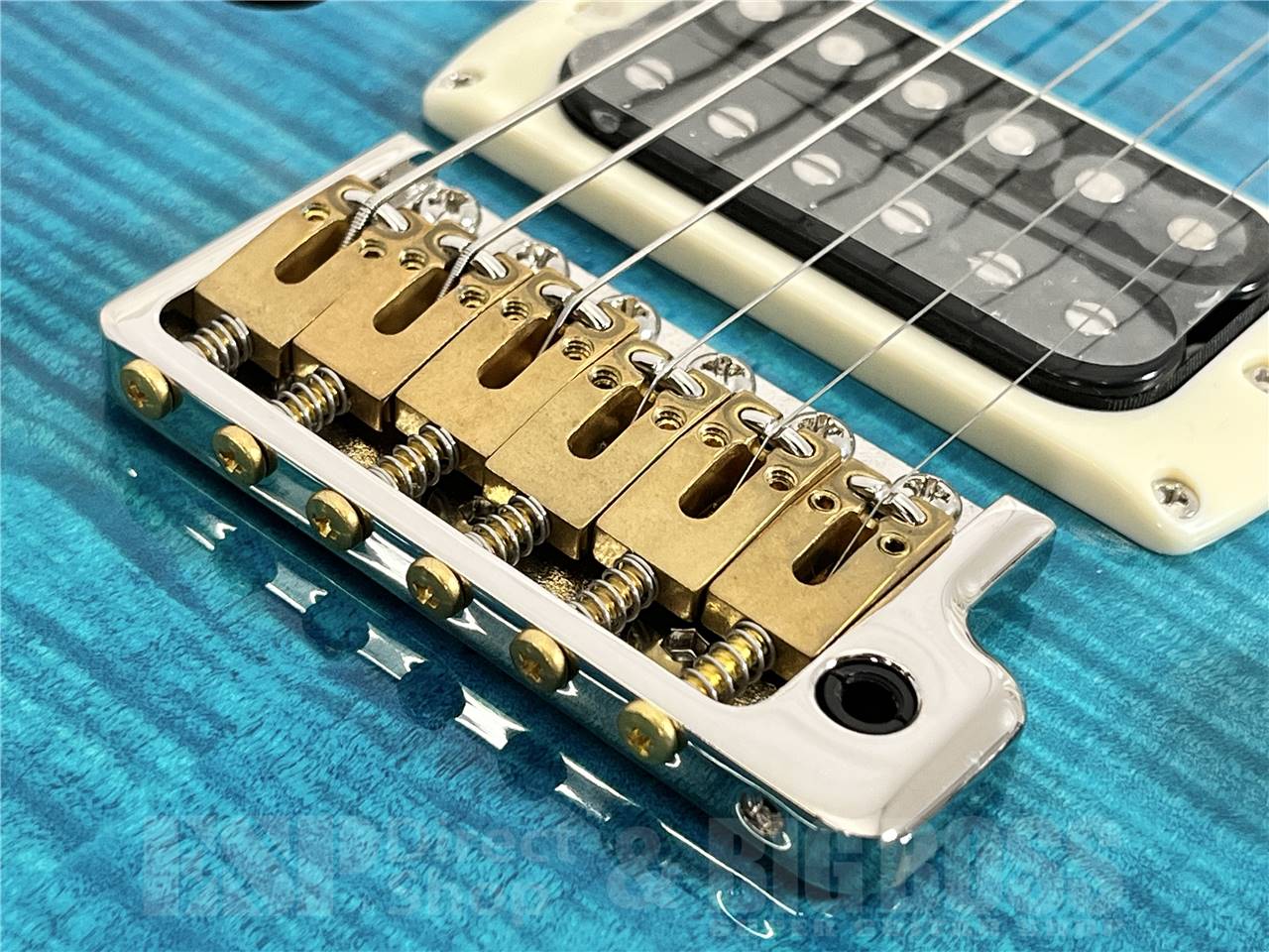 【即納可能】Paul Reed Smith (PRS/ポールリードスミス) SE Custom 24 Semi-Hollow Piezo / Lake Blue(2025年製) お茶の水駅前店・別館 - 3