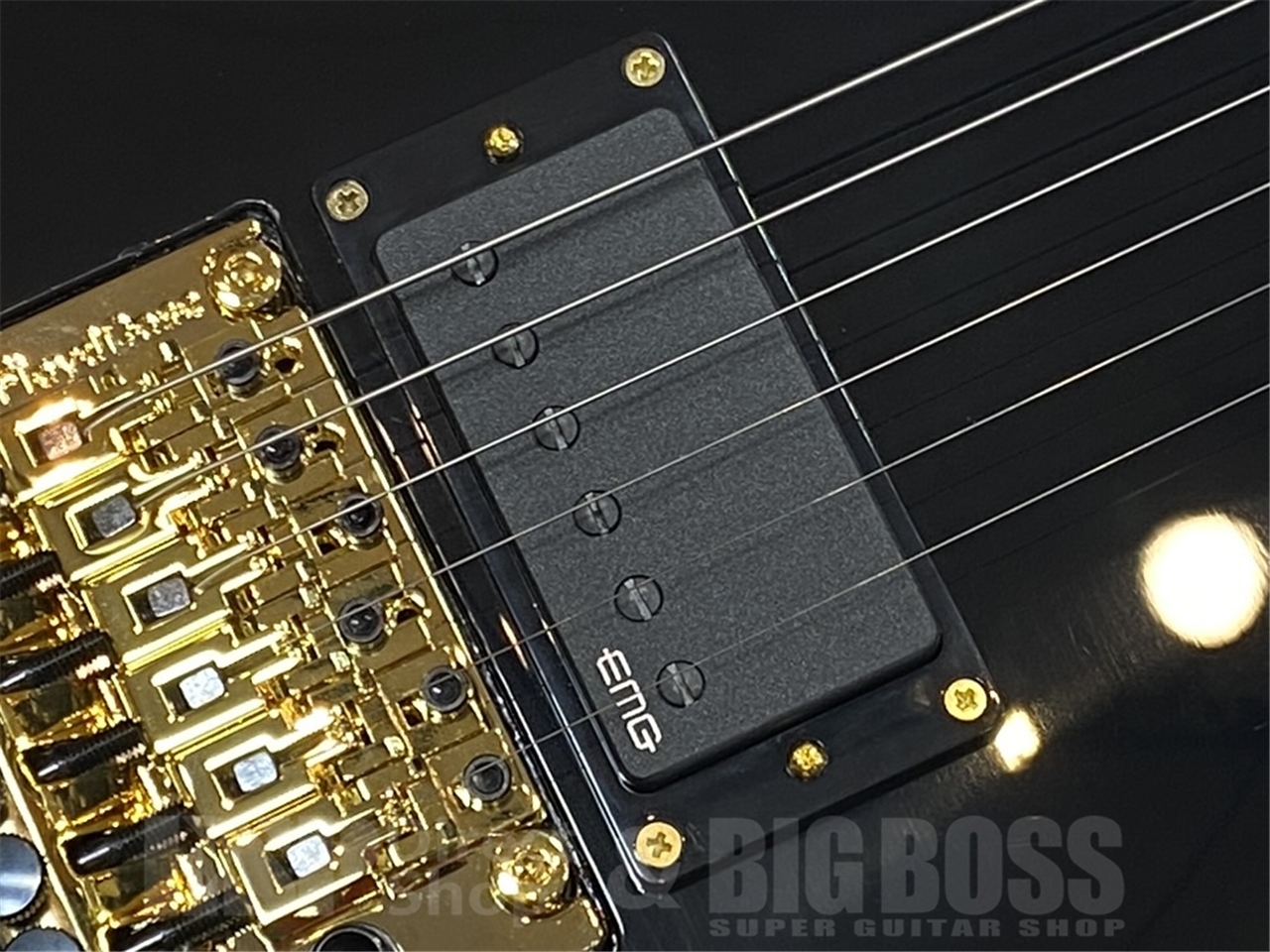 【即納可能】EDWARDS（エドワーズ） E-ALEXI KATAKANA　GWS - 6