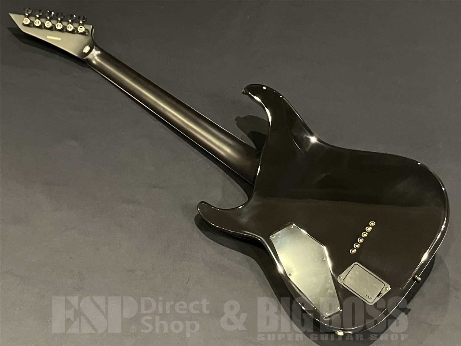 【即納可能】E-II(イーツー) HORIZON NT-II / See Thru Black Sunburst 京都店 - 8