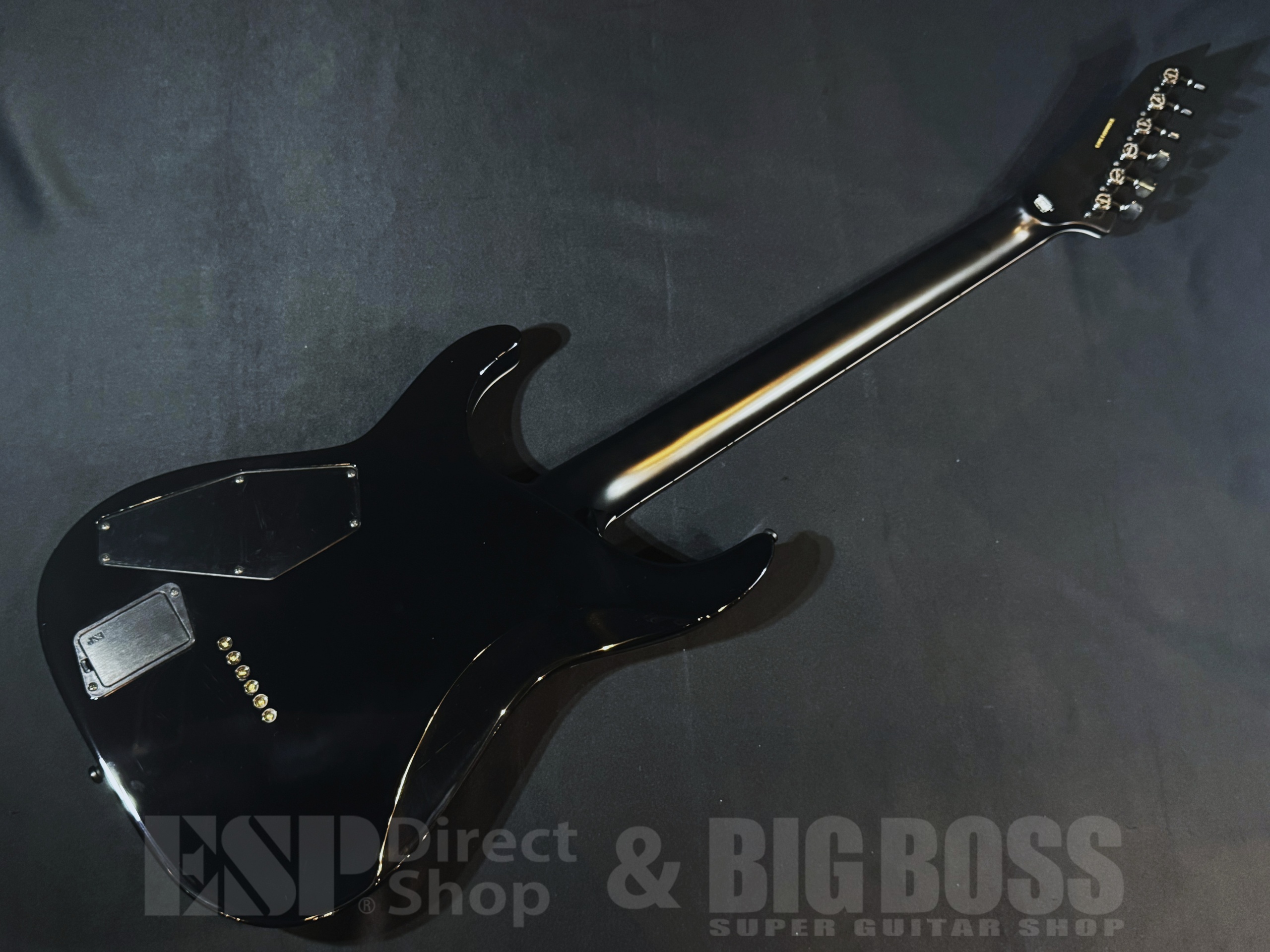 【即納可能】E-II(イーツー) HORIZON NT-II(ホライゾン) / See Thru Black Sunburst 大阪店 - 6