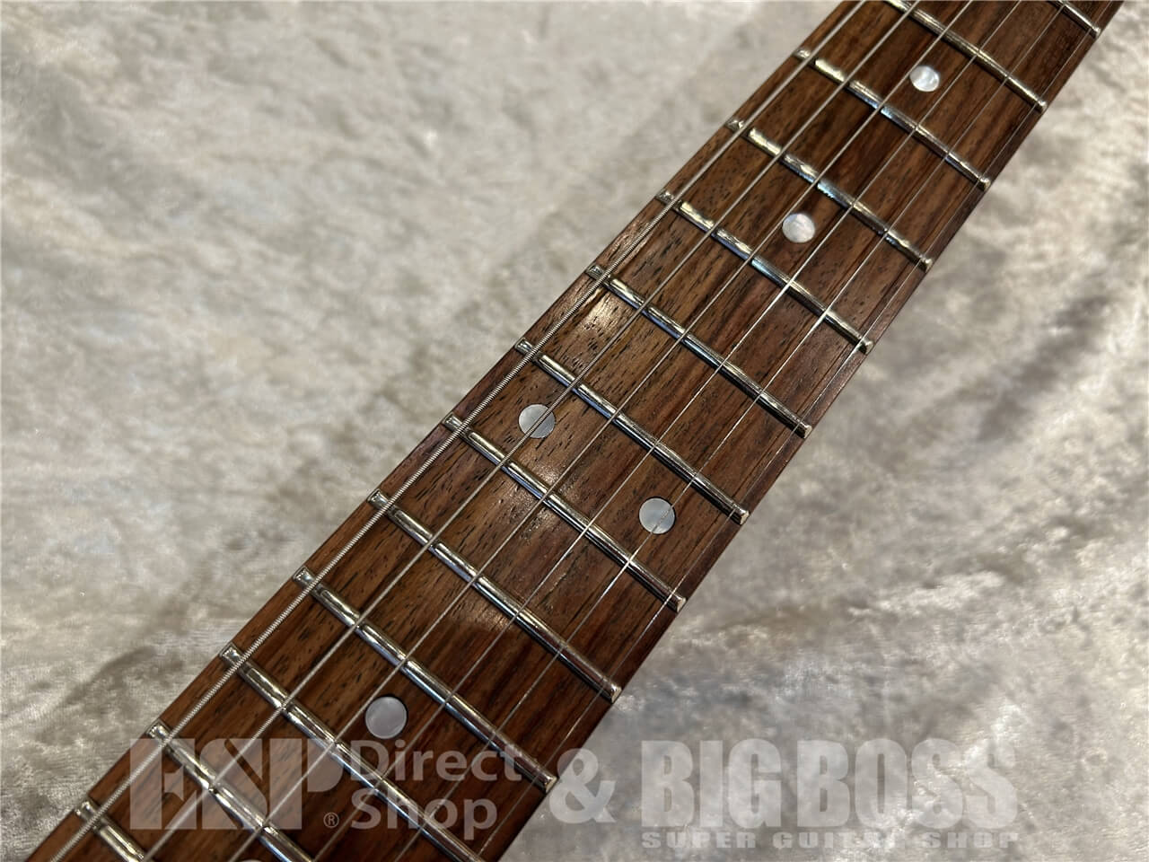 【即納可能】T.S factory（ティーエスファクトリー）Proto EX / Black Matt 仙台店 - 4