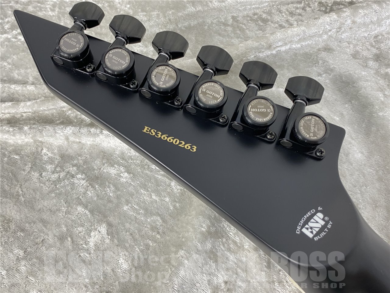 【即納可能】E-II(イーツー) HORIZON NT-II / See Thru Black Sunburst お茶の水駅前店(東京) - 10