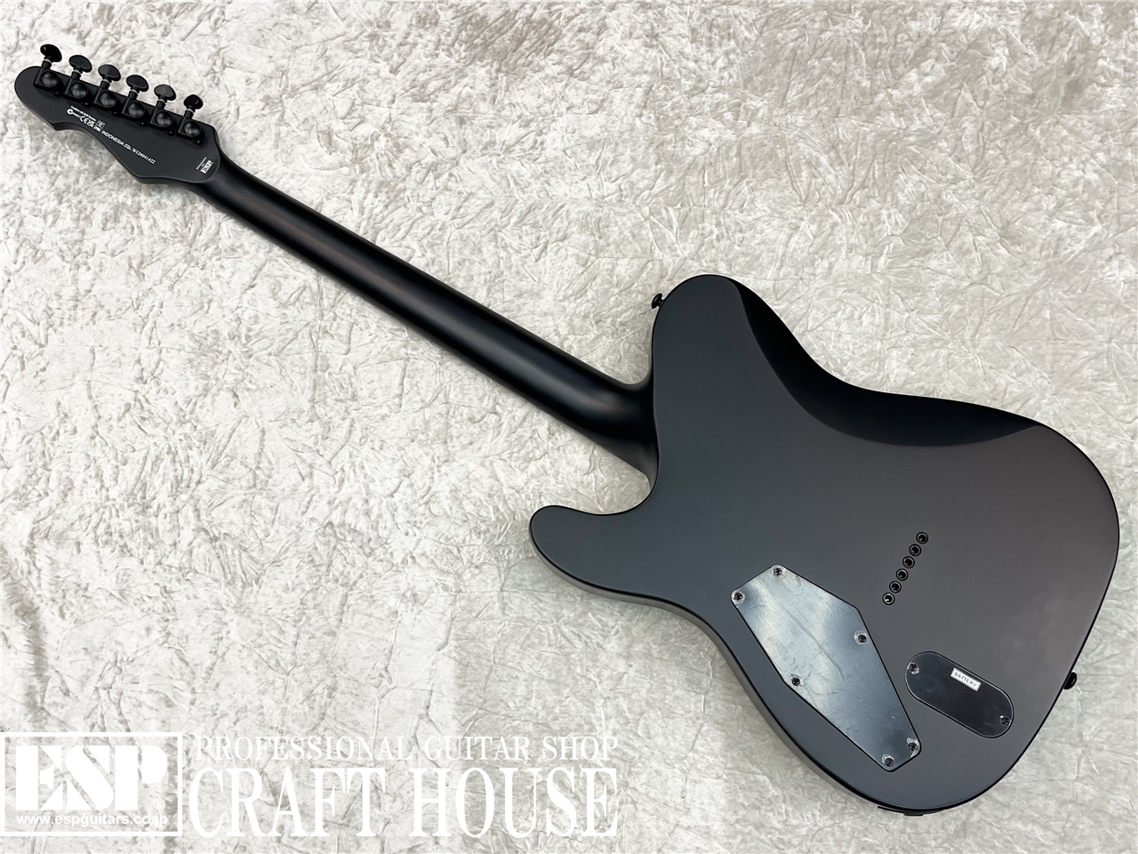 【即納可能】LTD TE-401 / Black Satin　渋谷店