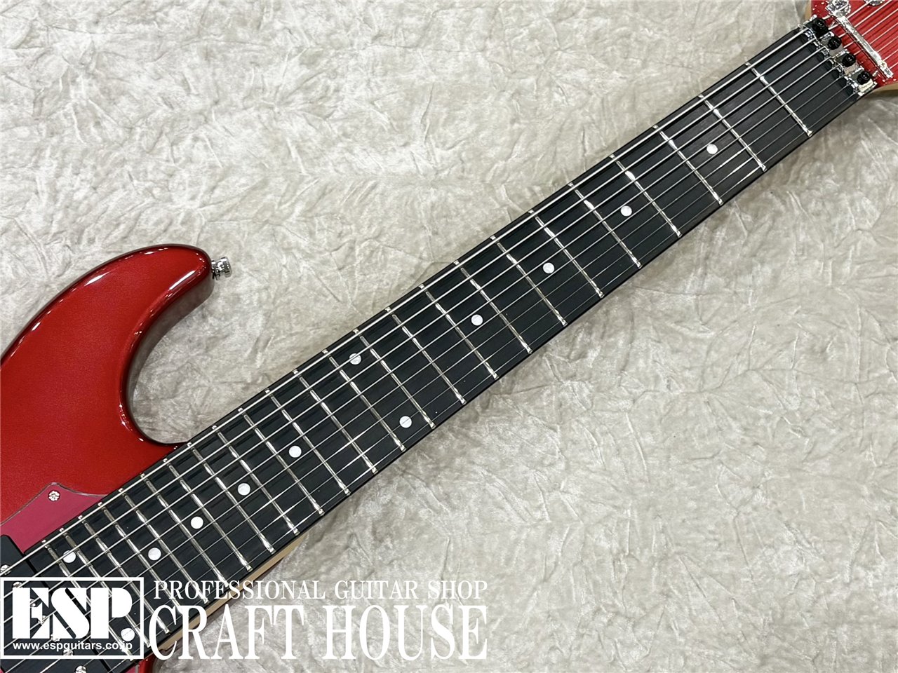 【即納可能】EDWARDS E-SNAPPER-8 ISAO Custom 渋谷店 - 3
