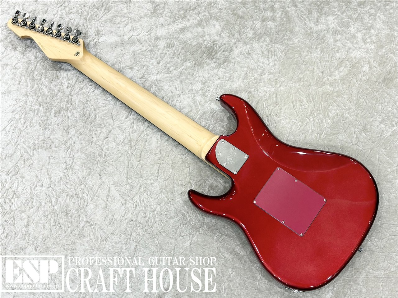 【即納可能】EDWARDS E-SNAPPER-8 ISAO Custom 渋谷店 - 5