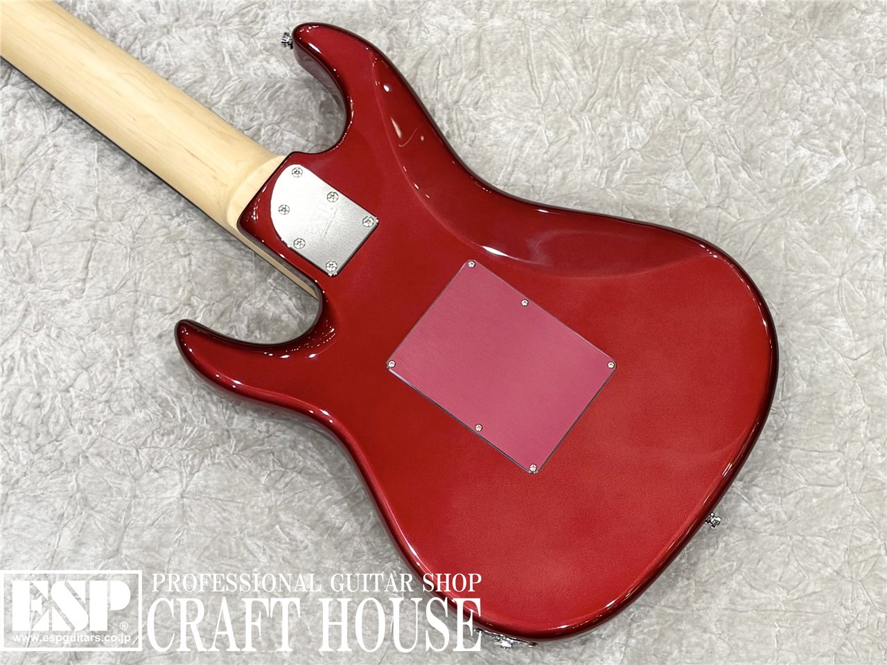 【即納可能】EDWARDS E-SNAPPER-8 ISAO Custom 渋谷店 - 6