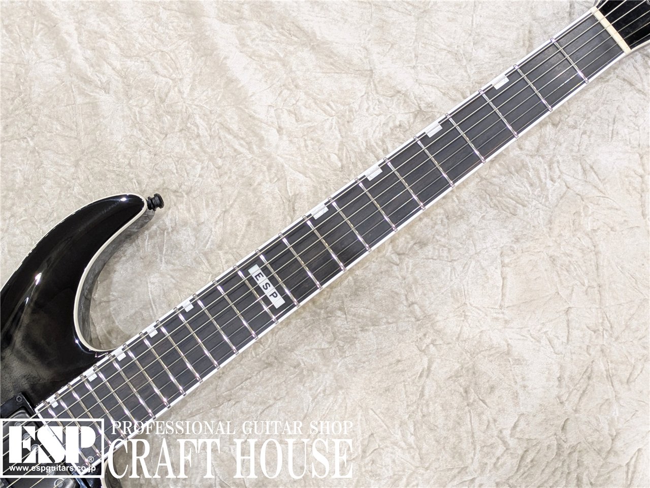 【即納可能】E-II HORIZON NT-II / See Thru Black Sunburst 渋谷店 - 3