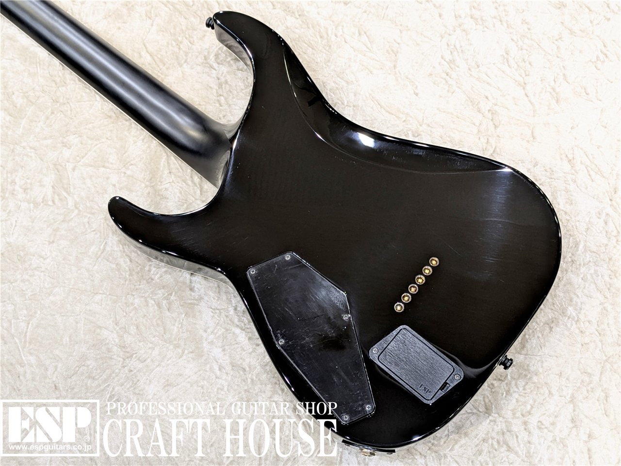 【即納可能】E-II HORIZON NT-II / See Thru Black Sunburst 渋谷店 - 6