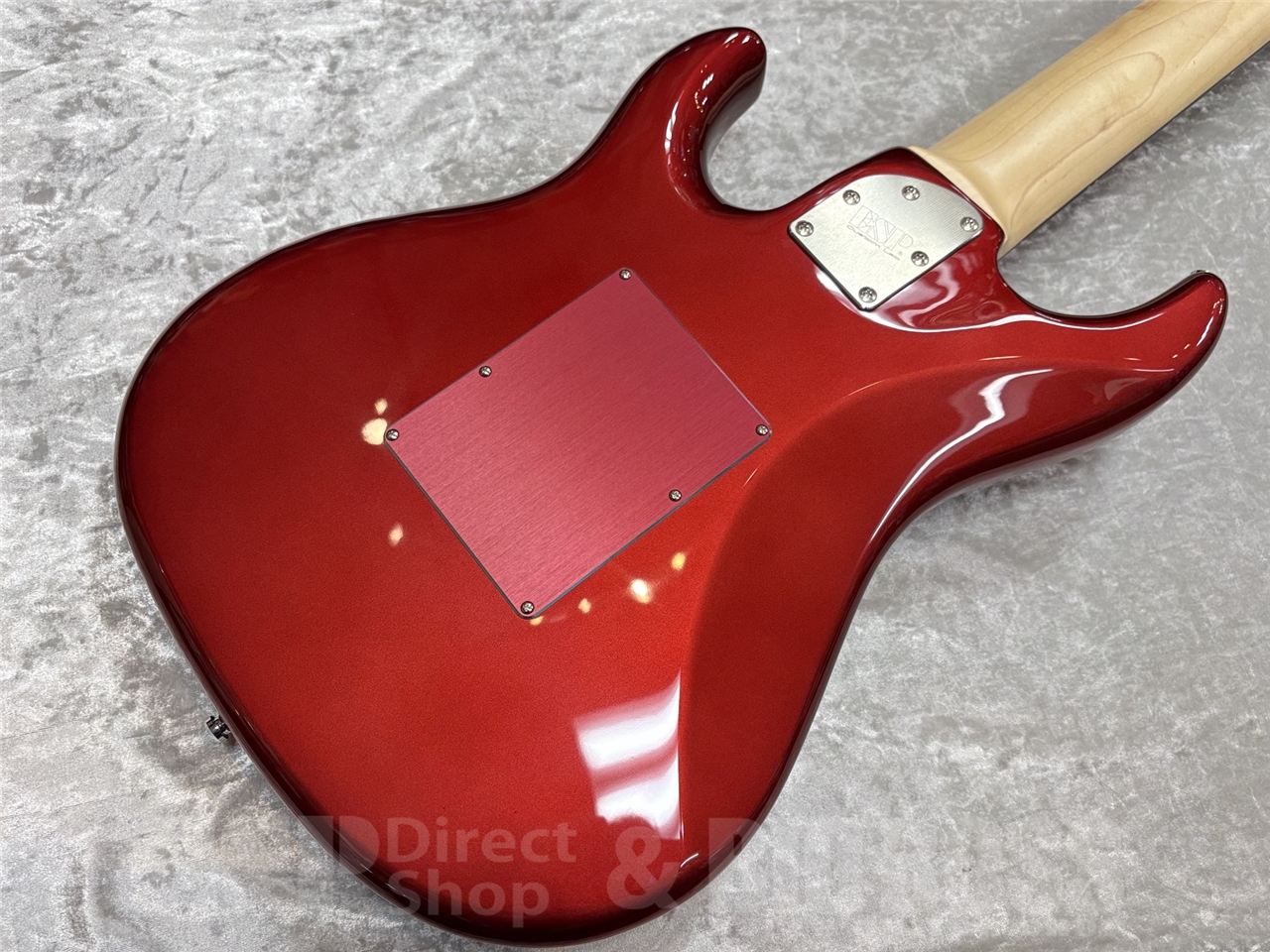 【即納可能】EDWARDS E-SNAPPER-8 ISAO Custom GWS - 9