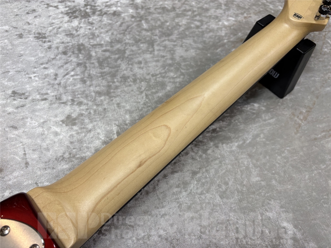 【即納可能】EDWARDS E-SNAPPER-8 ISAO Custom GWS - 10