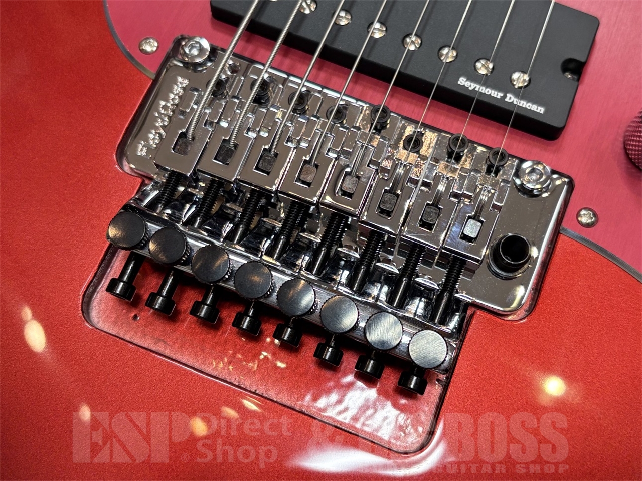 【即納可能】EDWARDS E-SNAPPER-8 ISAO Custom GWS - 3