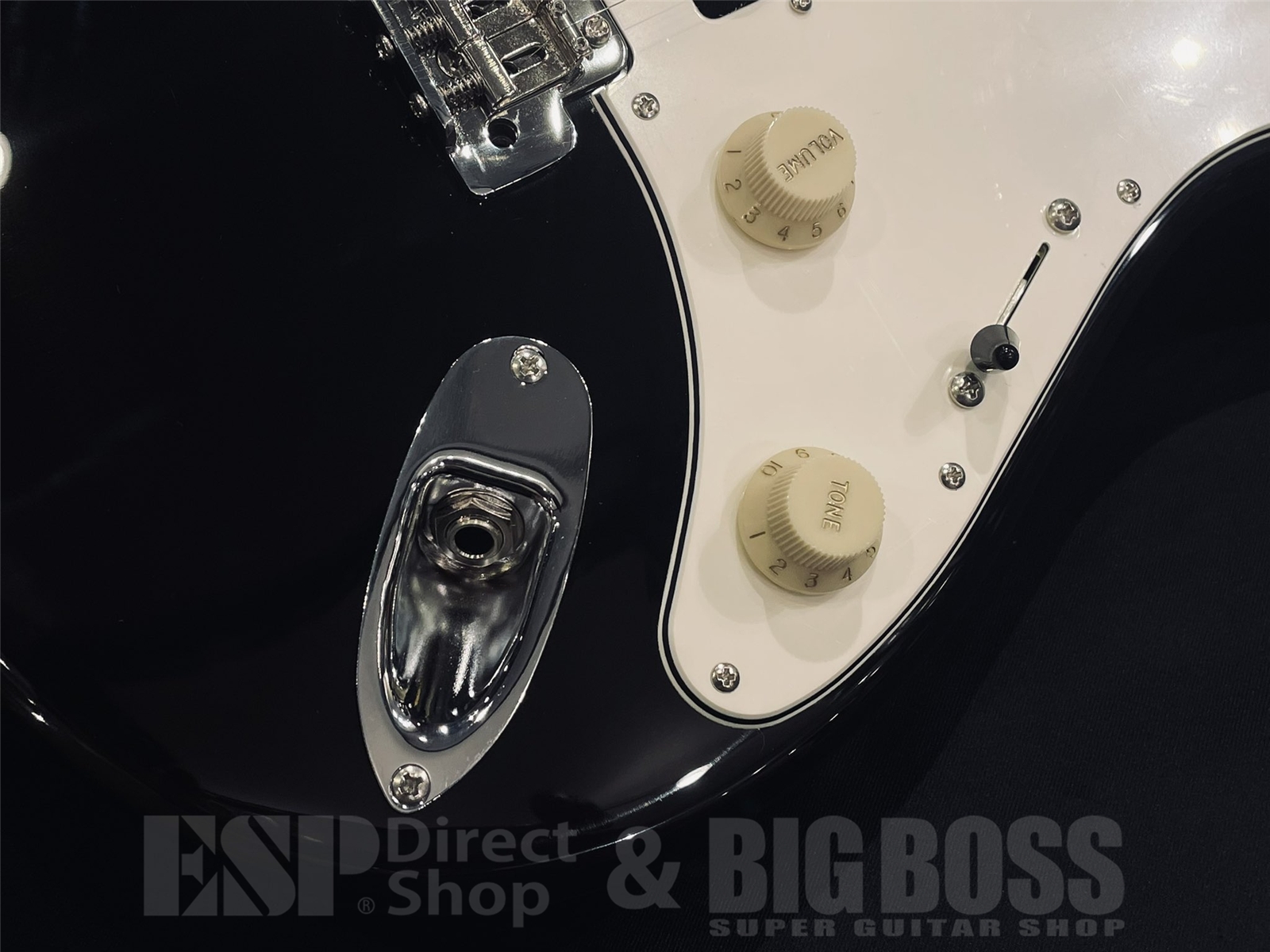 【即納可能】EDWARDS(エドワーズ) Platinum E-TYG2 【9mm Parabellum Bullet 菅原 卓郎 Signature Model】 京都店 - 4