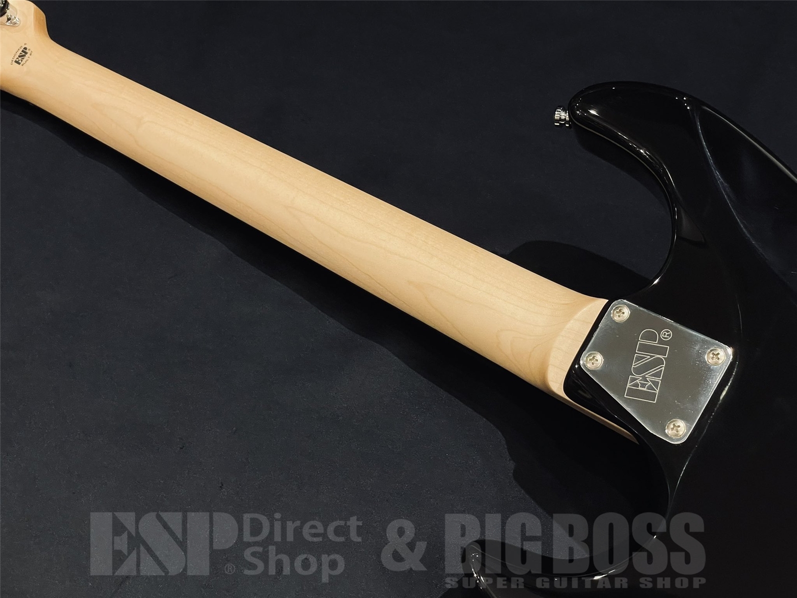 【即納可能】EDWARDS(エドワーズ) Platinum E-TYG2 【9mm Parabellum Bullet 菅原 卓郎 Signature Model】 京都店 - 9