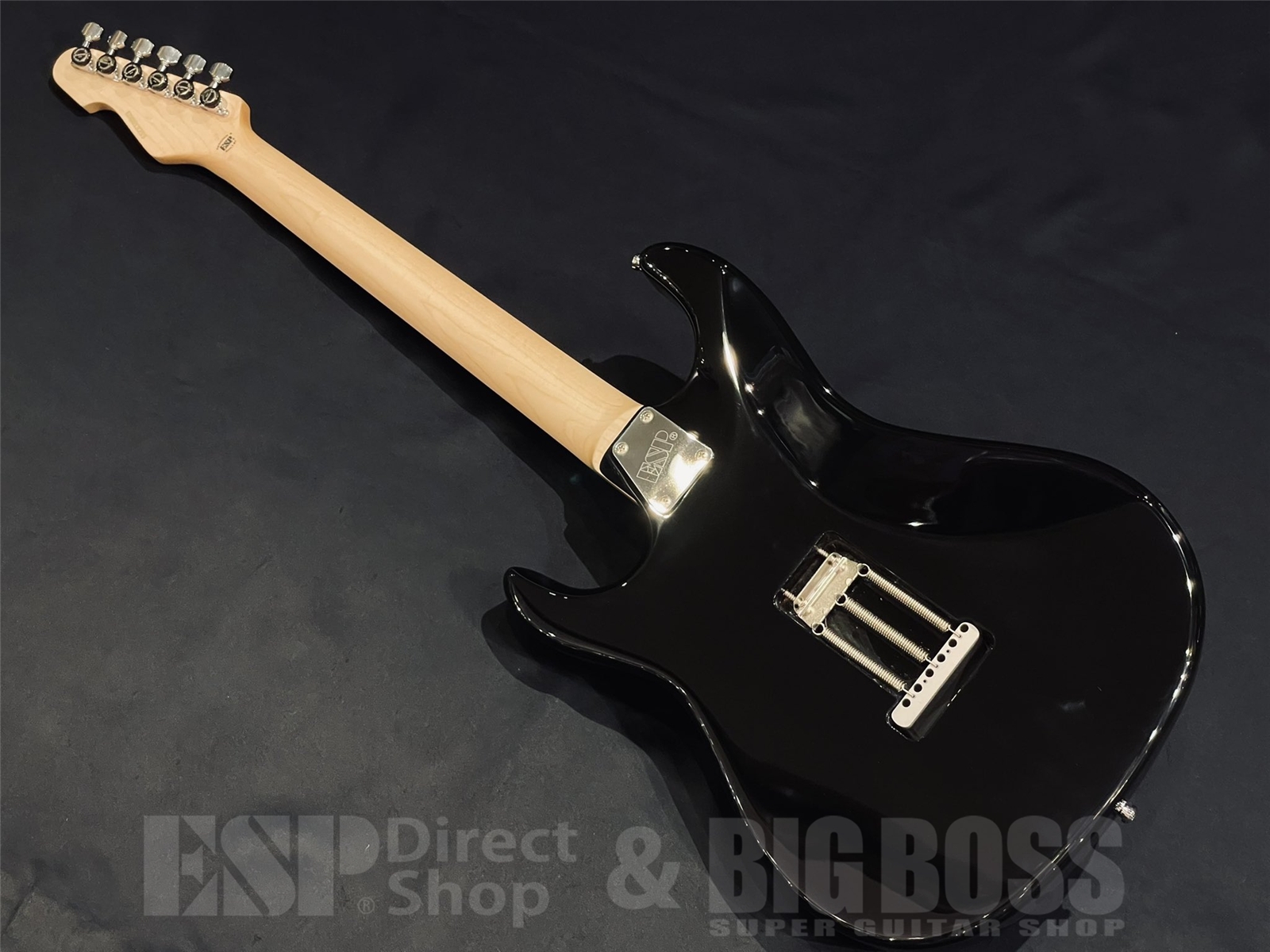 【即納可能】EDWARDS(エドワーズ) Platinum E-TYG2 【9mm Parabellum Bullet 菅原 卓郎 Signature Model】 京都店 - 7