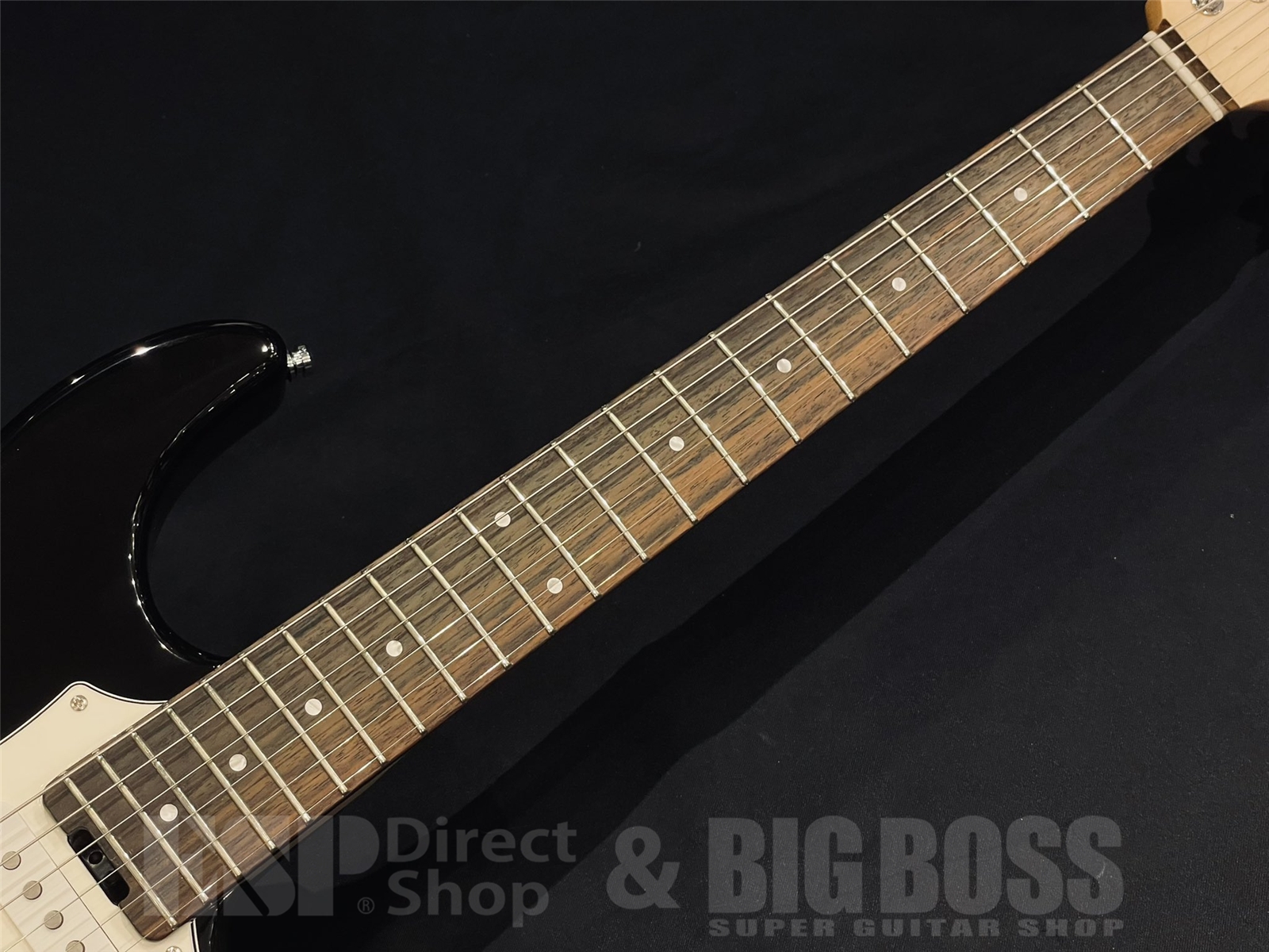 【即納可能】EDWARDS(エドワーズ) Platinum E-TYG2 【9mm Parabellum Bullet 菅原 卓郎 Signature Model】 京都店 - 5