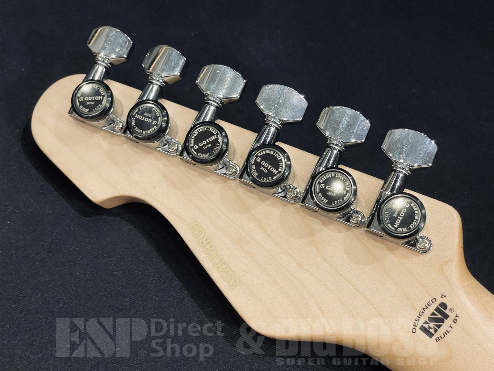 【即納可能】EDWARDS(エドワーズ) Platinum E-TYG2 【9mm Parabellum Bullet 菅原 卓郎 Signature Model】 京都店 - 10