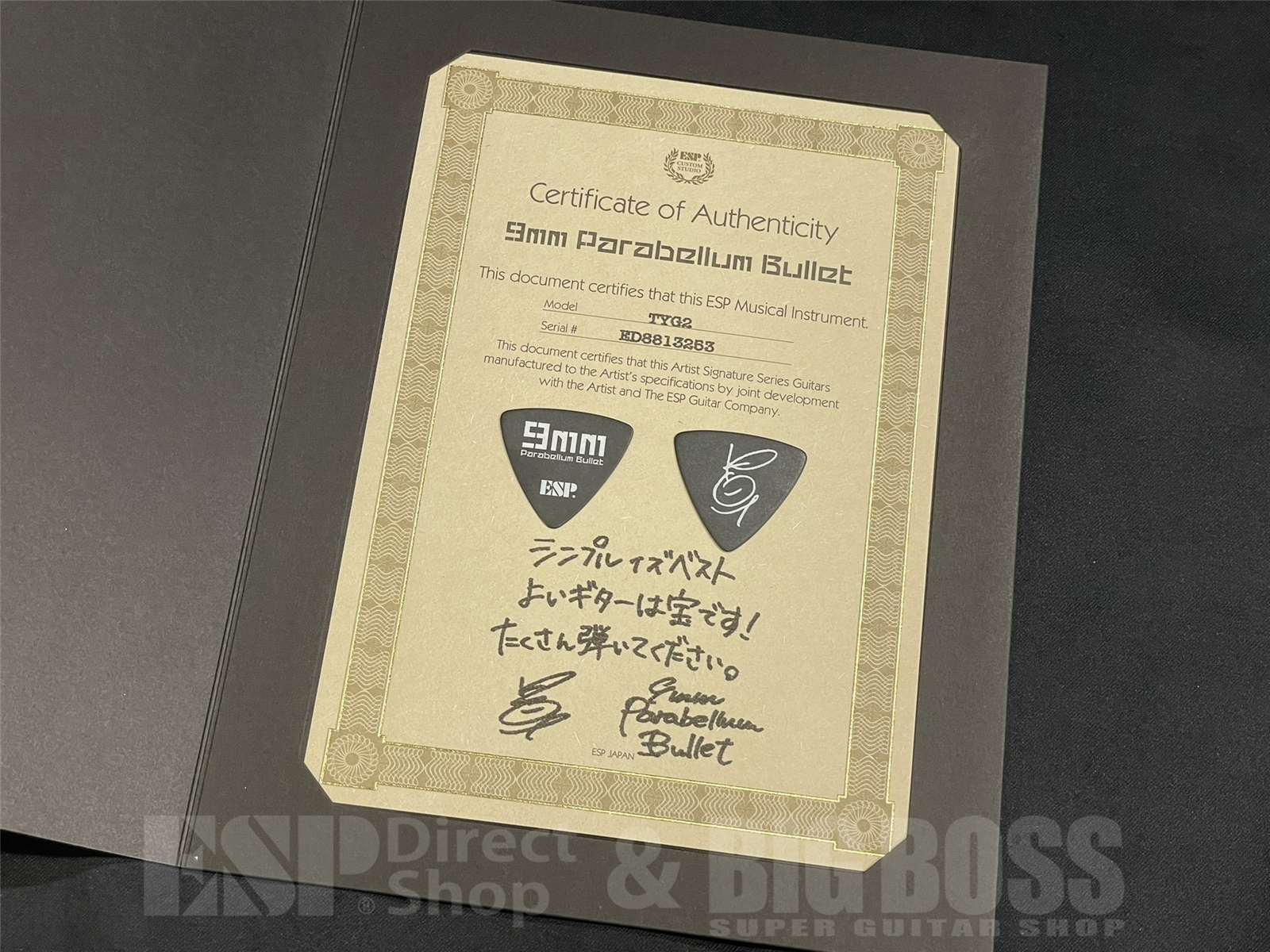 【即納可能】EDWARDS(エドワーズ) Platinum E-TYG2 【9mm Parabellum Bullet 菅原 卓郎 Signature Model】 京都店 - 11