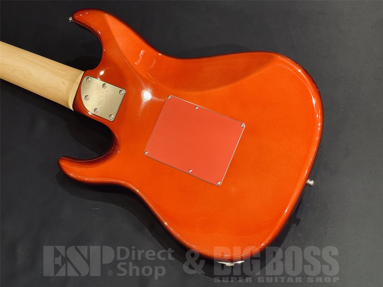 【即納可能】EDWARDS(エドワーズ) E-SNAPPER-8 ISAO Custom / RAIDEN RED 京都店 - 9