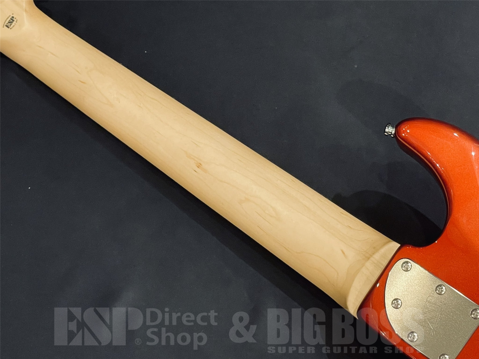 【即納可能】EDWARDS(エドワーズ) E-SNAPPER-8 ISAO Custom / RAIDEN RED 京都店 - 10