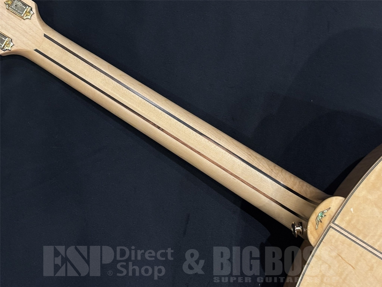 【即納可能】Bromo Guitars(ブロモギターズ) BAN7E 京都店 - 10