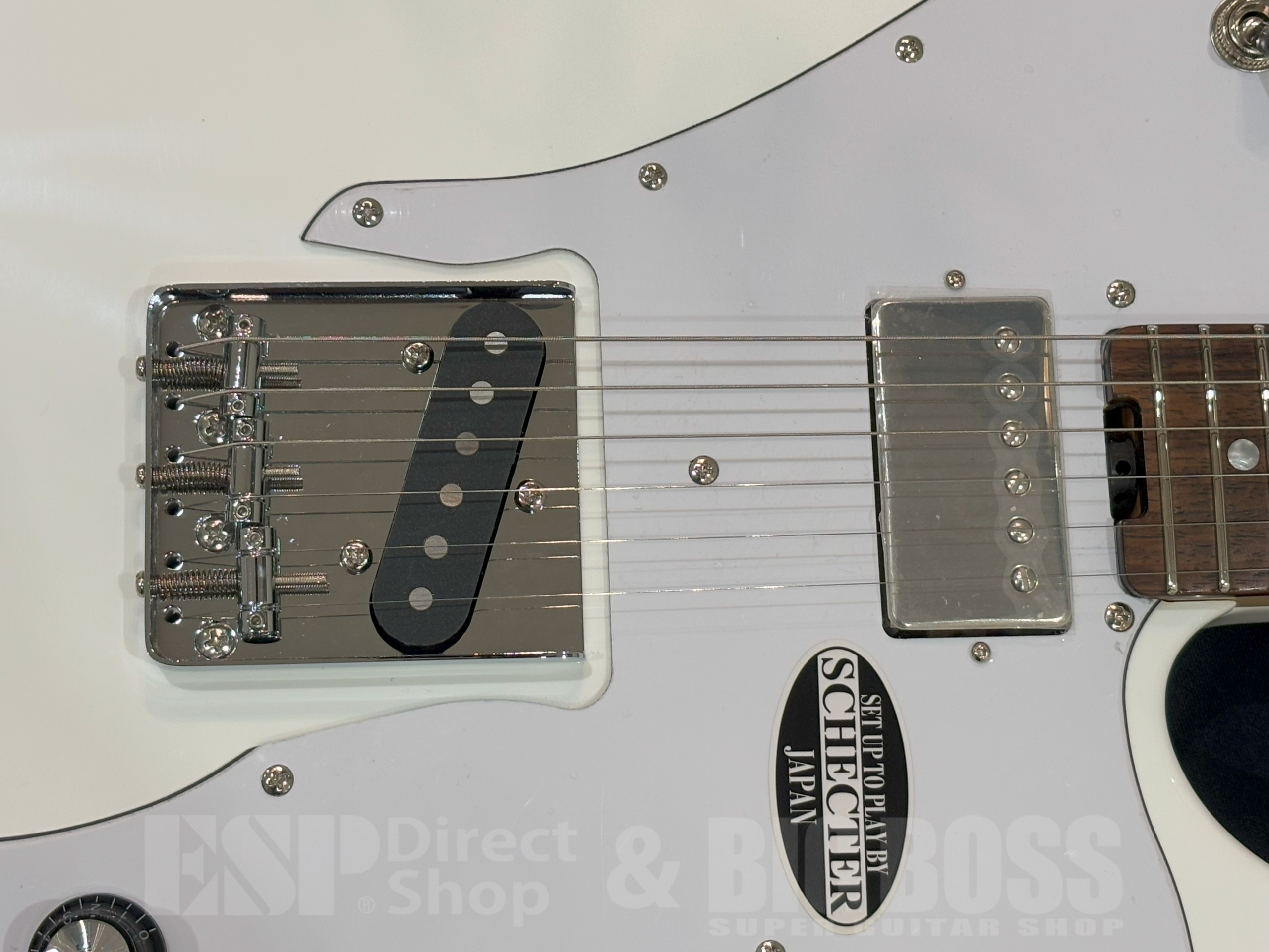【即納可能】SCHECTER OL-PT-CTM/WHT/R 大阪店