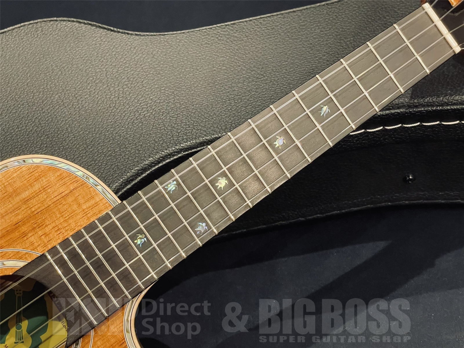 【中古品 / 即納可能】BIG ISLAND(ビッグアイランド) KSX-CTG コンサートウクレレ京都店 - 5