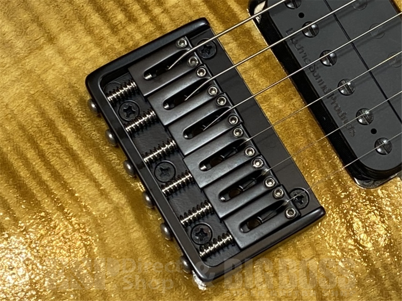 【即納可能】EDWARDS（エドワーズ）E-M-II CTM /Natural  GWS - 3