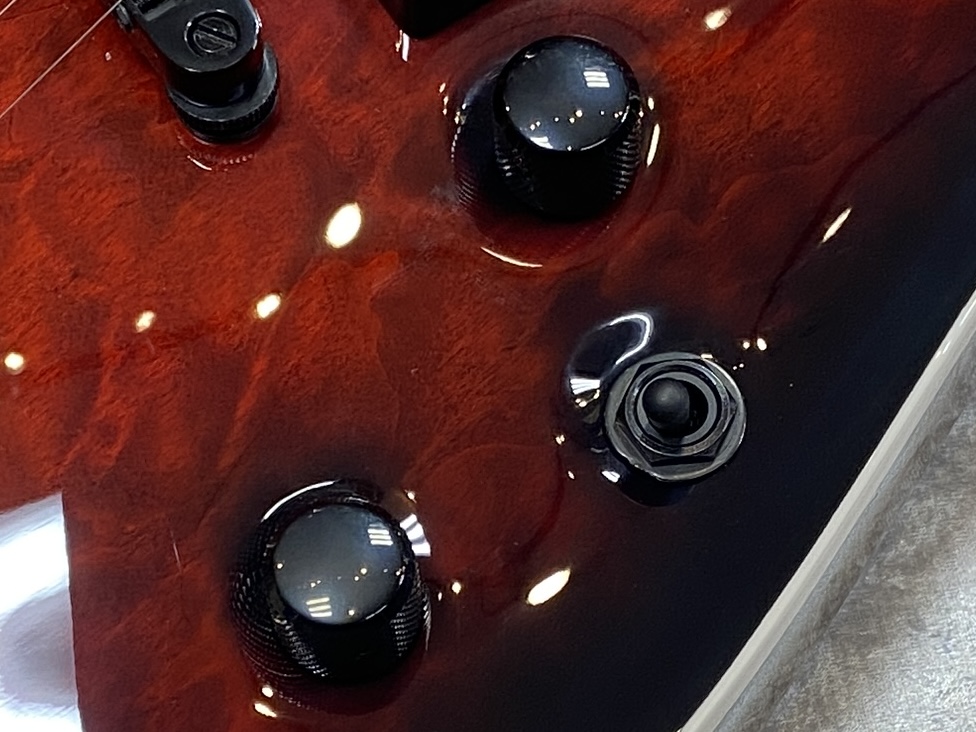【即納可能】E-II(イーツー) HORIZON NT-II EMG/See Thru Black Cherry Sunburst GWS - 5