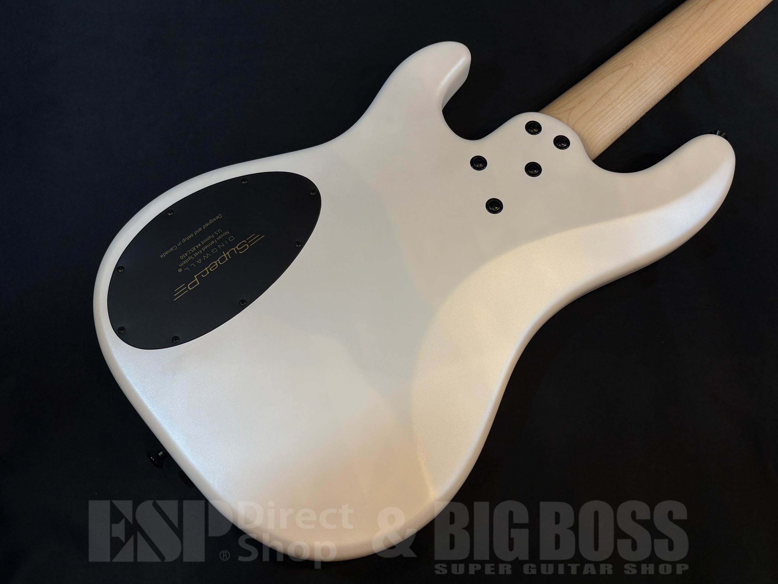 【即納可能】DINGWALL SP1 5-string / Matte Ducati Pearl White 大阪店 - 7