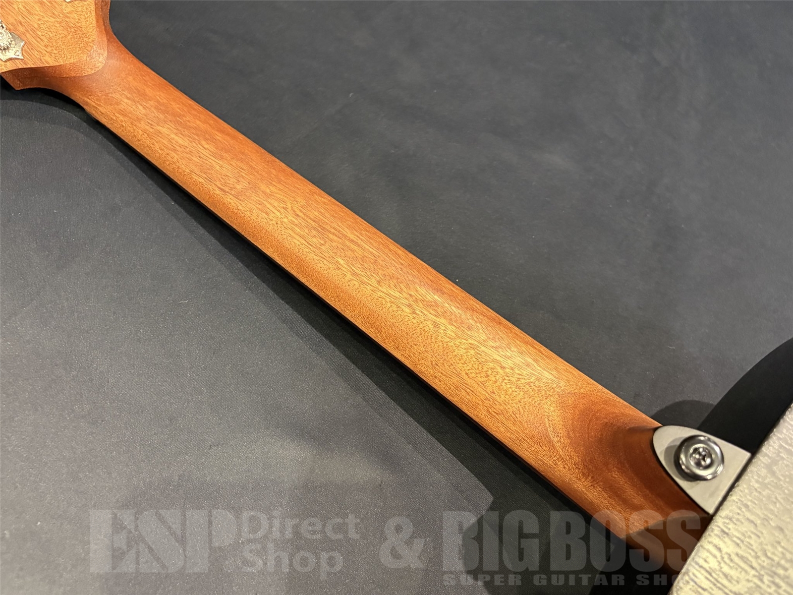 【即納可能】LAG Guitars (ラグギターズ ) T70A / BLACK & BROWN 京都店 - 9