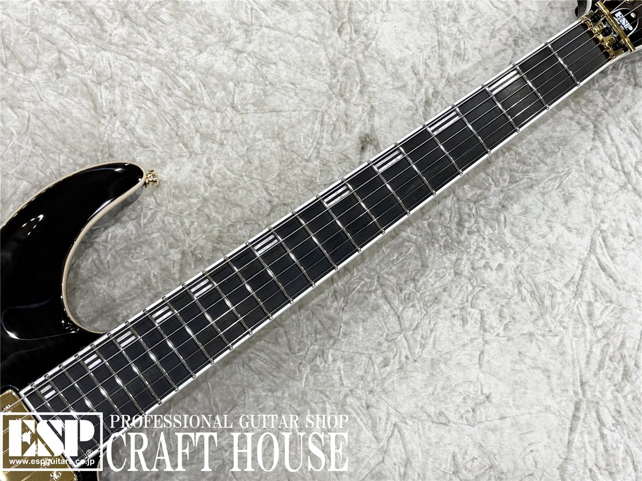 【即納可能】E-HORIZON-CTM 50TH / Ash Black Burst C / Black Pearl Back 渋谷店 - 3