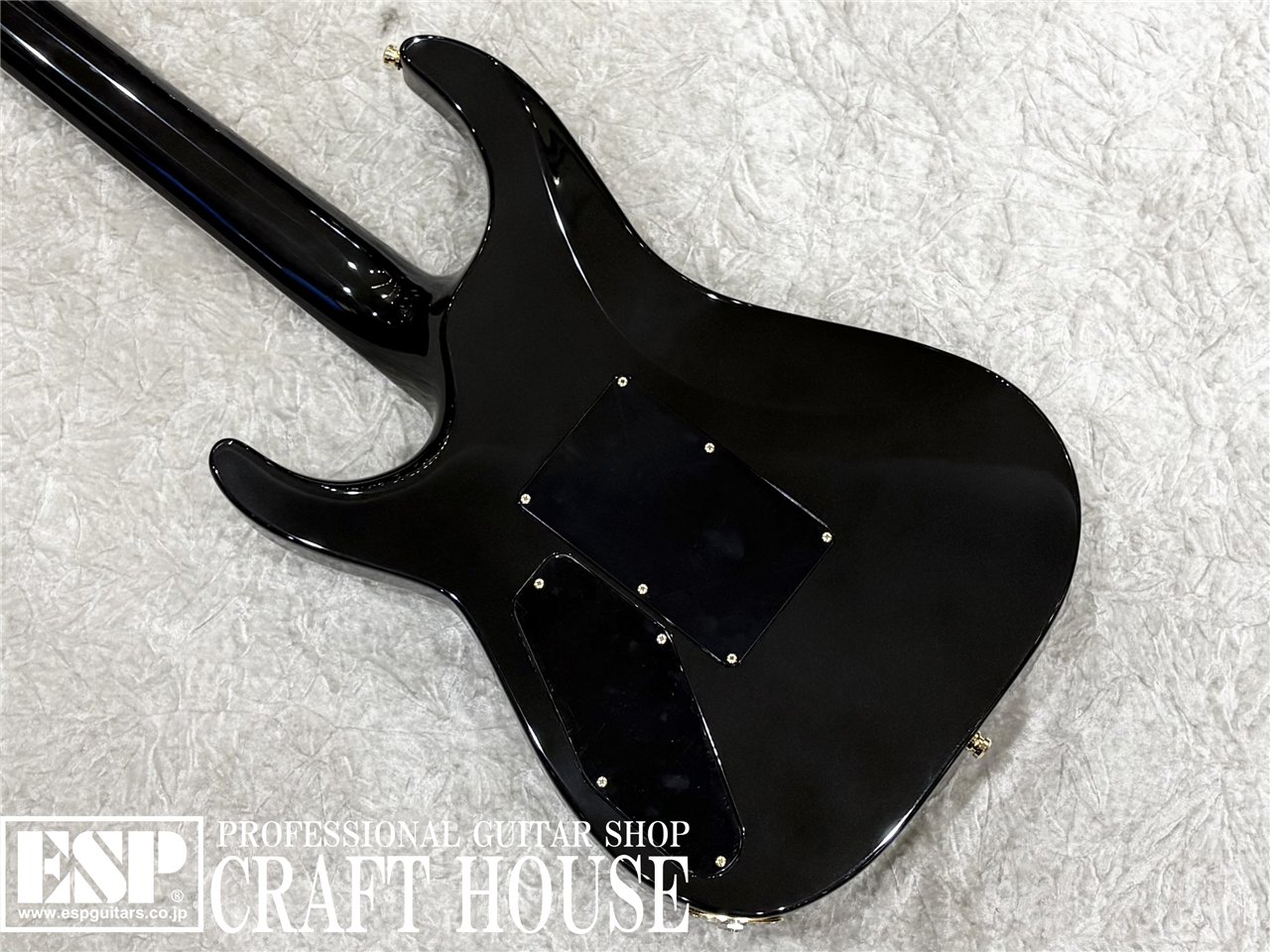 【即納可能】E-HORIZON-CTM 50TH / Ash Black Burst C / Black Pearl Back 渋谷店 - 6
