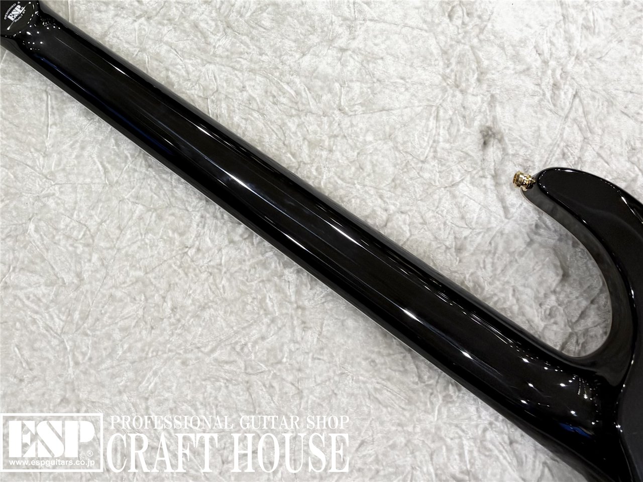 【即納可能】E-HORIZON-CTM 50TH / Ash Black Burst C / Black Pearl Back 渋谷店 - 7