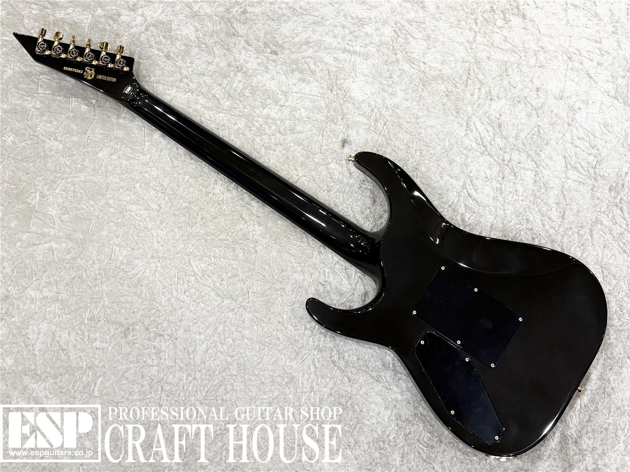【即納可能】E-HORIZON-CTM 50TH / Ash Black Burst C / Black Pearl Back 渋谷店 - 5