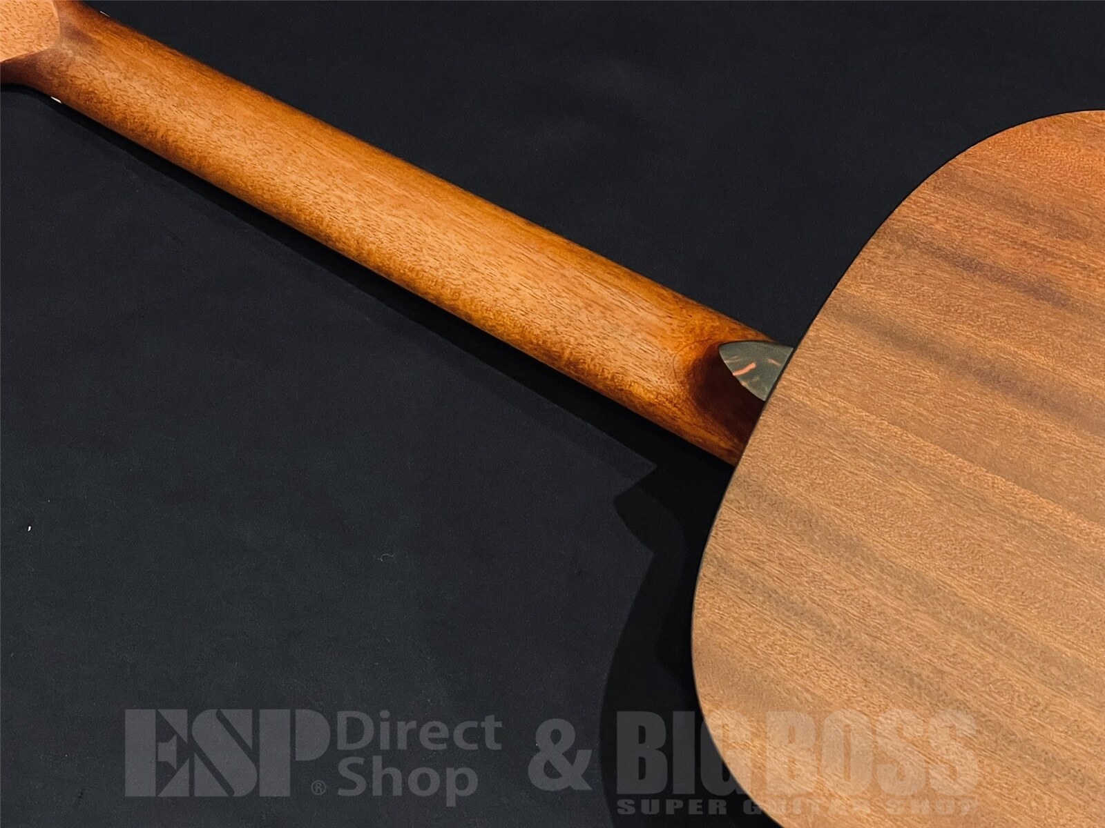 【即納可能】Eastman(イーストマン) E1 SS-SB 京都店 - 10