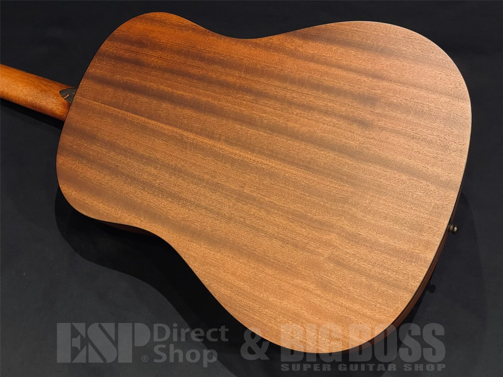 【即納可能】Eastman(イーストマン) E1 SS-SB 京都店 - 9