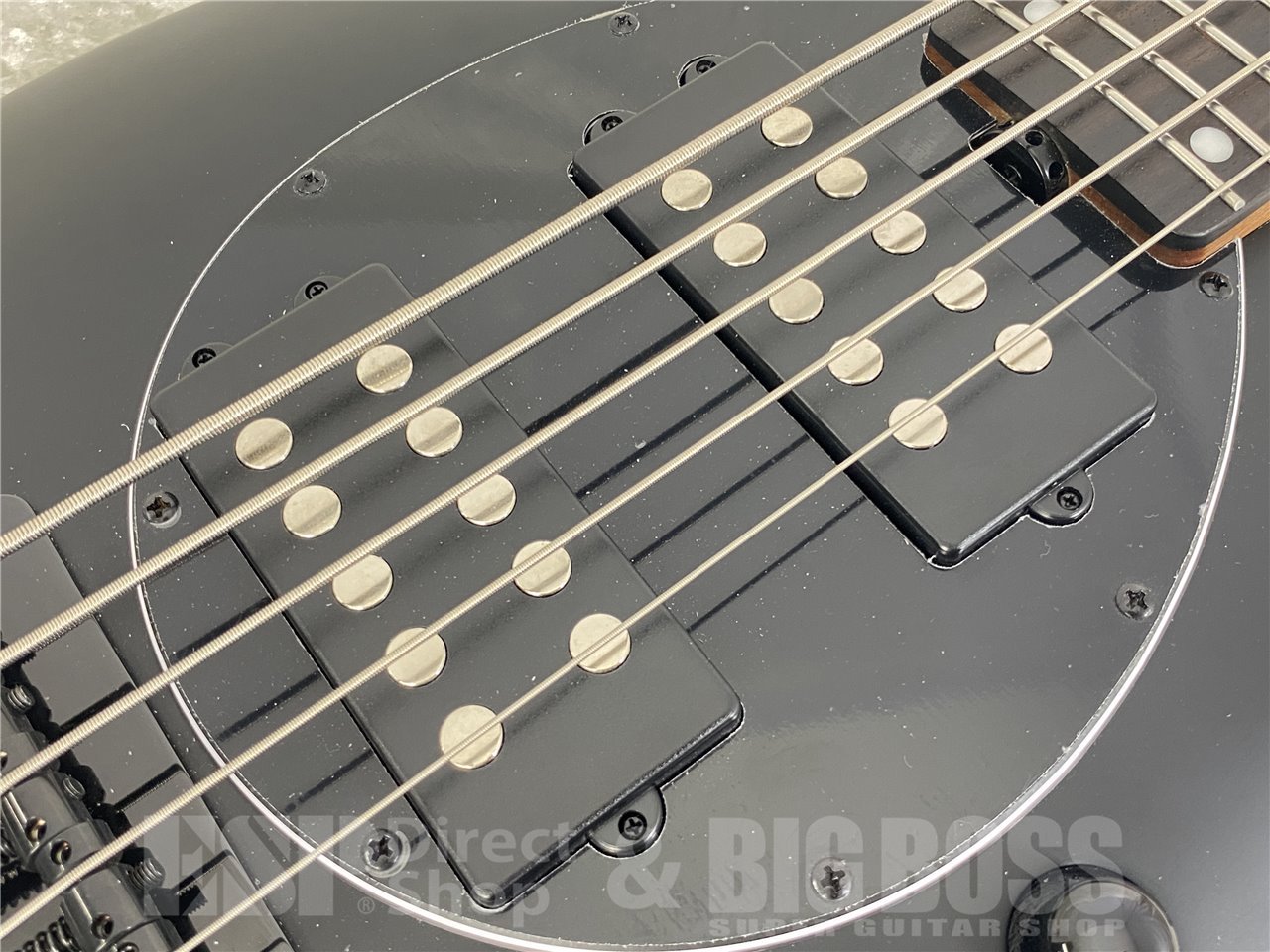 【即納可能】Sterling by MUSIC MAN(スターリンバイミュージックマン) BONGO5-SBK-R2 (Stealth Black) お茶の水駅前店(東京) - 6