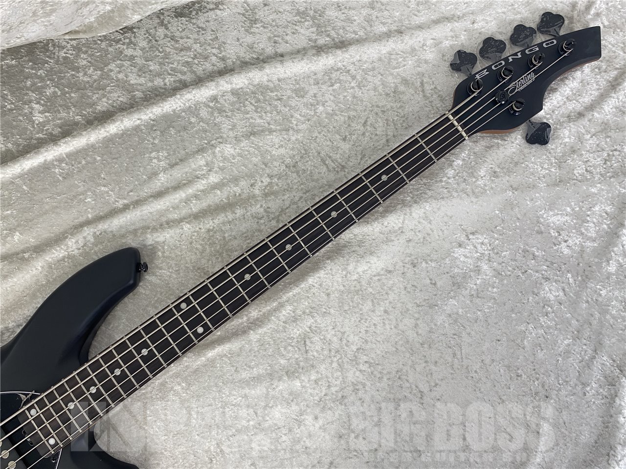 【即納可能】Sterling by MUSIC MAN(スターリンバイミュージックマン) BONGO5-SBK-R2 (Stealth Black) お茶の水駅前店(東京) - 7
