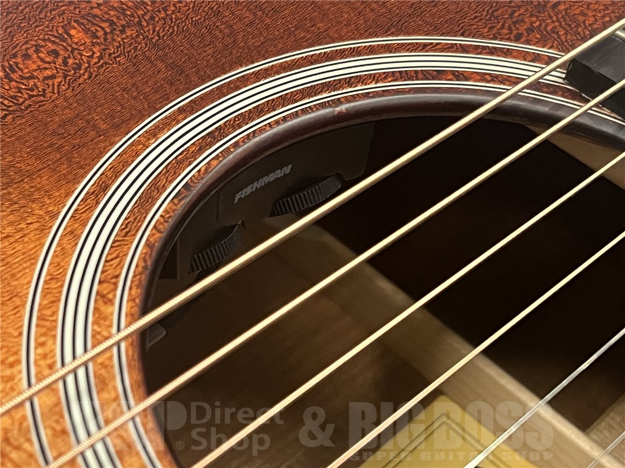 【即納可能】Eastman(イーストマン)AC122CE-1CE-CLA(Classic) 名古屋店 - 4