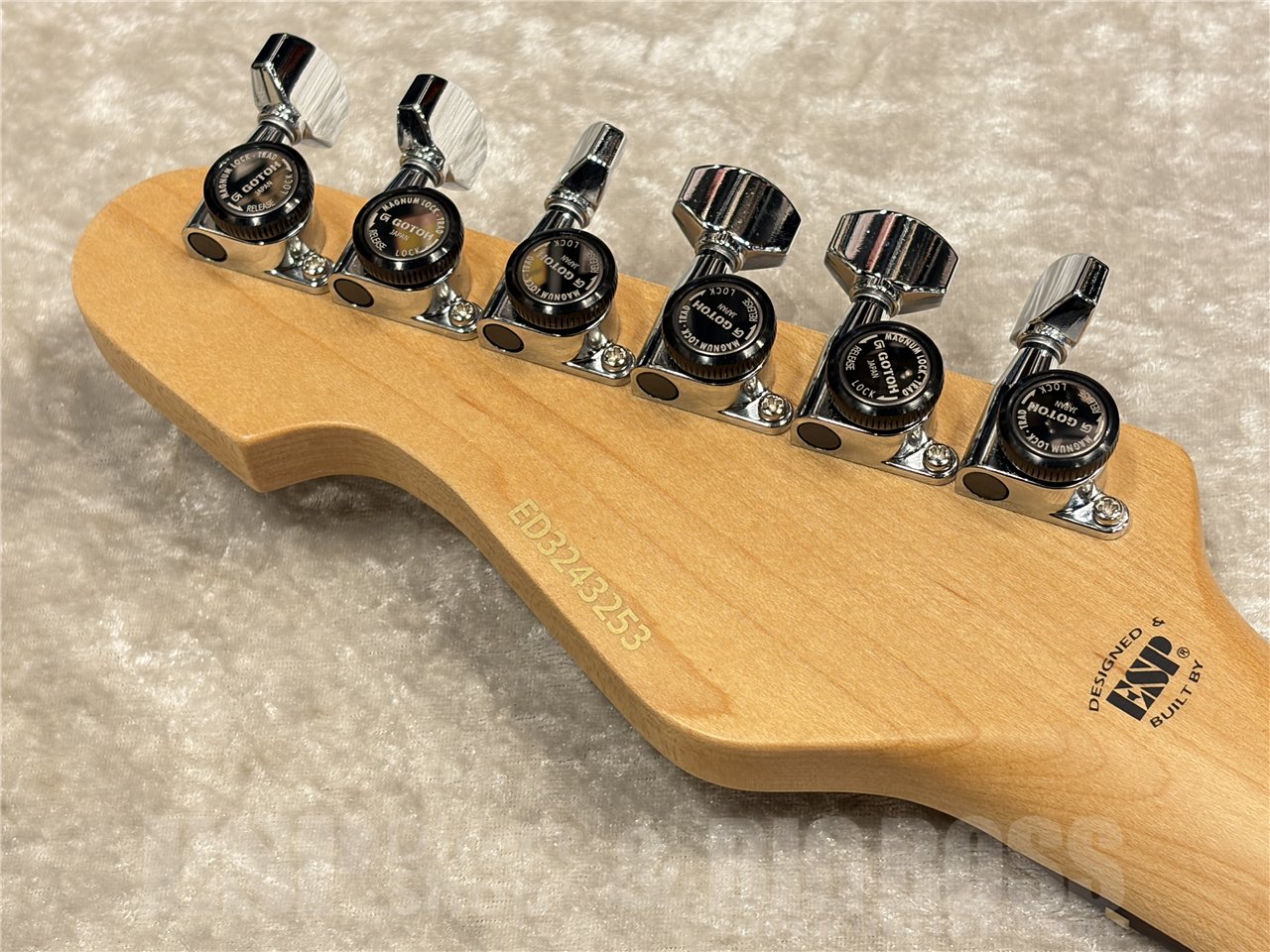 【即納可能】EDWARDS（エドワーズ）E-SNAPPER Fujioka Custom（藤岡幹大/仮BAND, 藤岡 幹大 of TRICK BOX）　名古屋店 - 6