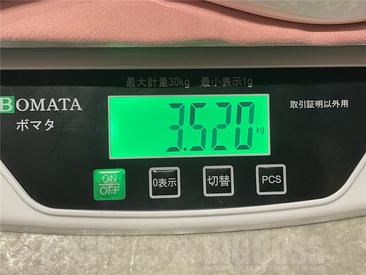 【即納可能】EDWARDS(エドワーズ) E-SYUNAPPER-7 (Pearl White) 広島店 - 9