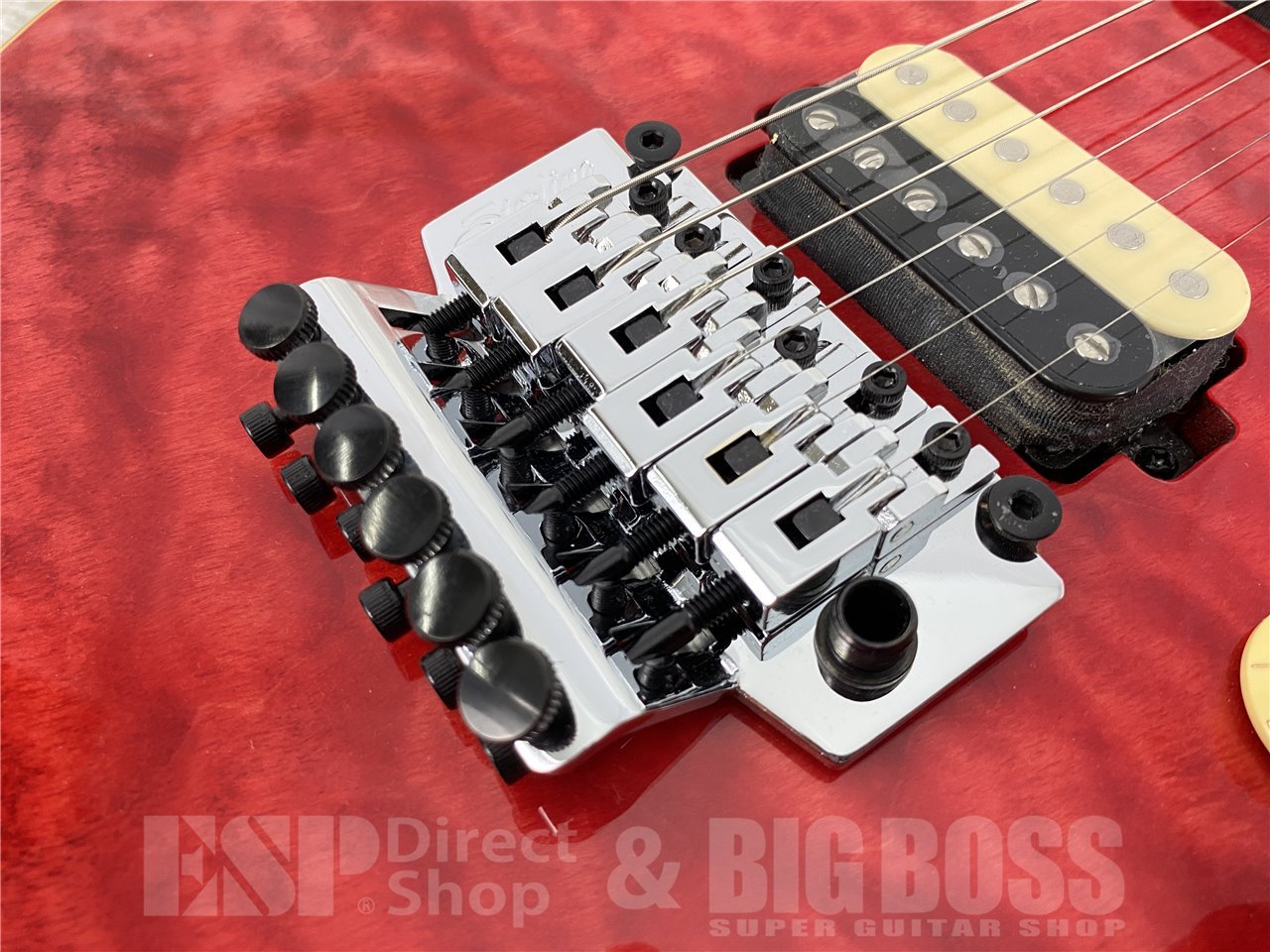 【即納可能】Sterling by MUSIC MAN(スターリンバイミュージックマン) AXIS AX40-TRD-M (Trans Red) お茶の水駅前店(東京) - 5