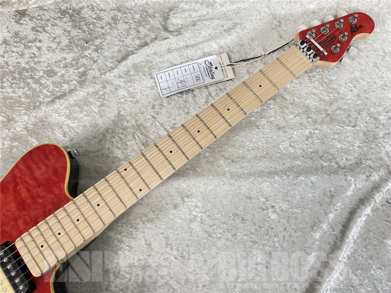 【即納可能】Sterling by MUSIC MAN(スターリンバイミュージックマン) AXIS AX40-TRD-M (Trans Red) お茶の水駅前店(東京) - 7