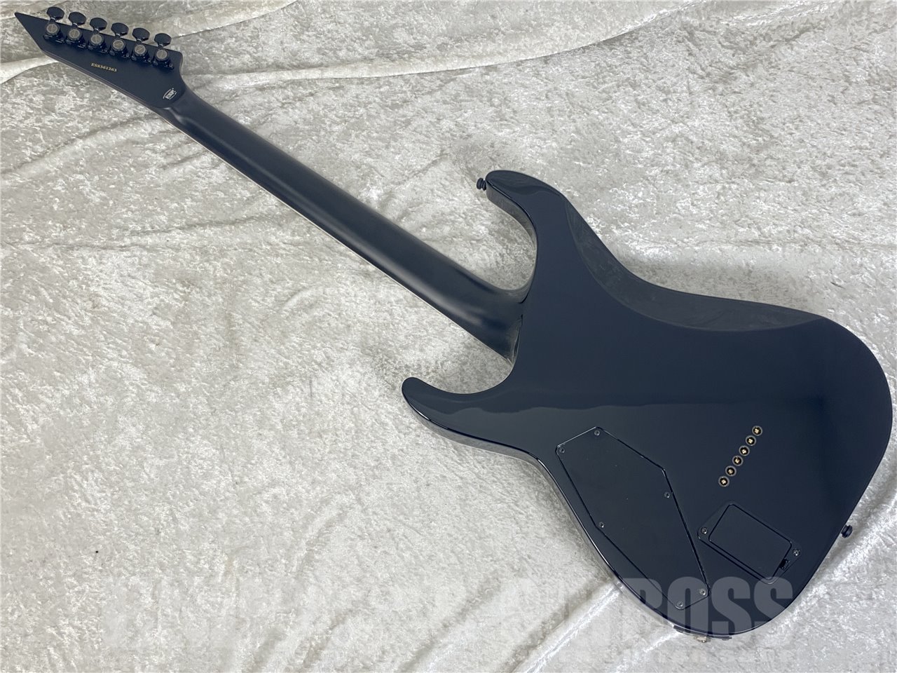 【即納可能】E-II(イーツー) HORIZON NT-II / See Thru Black Cherry Sunburst お茶の水駅前店(東京) - 10