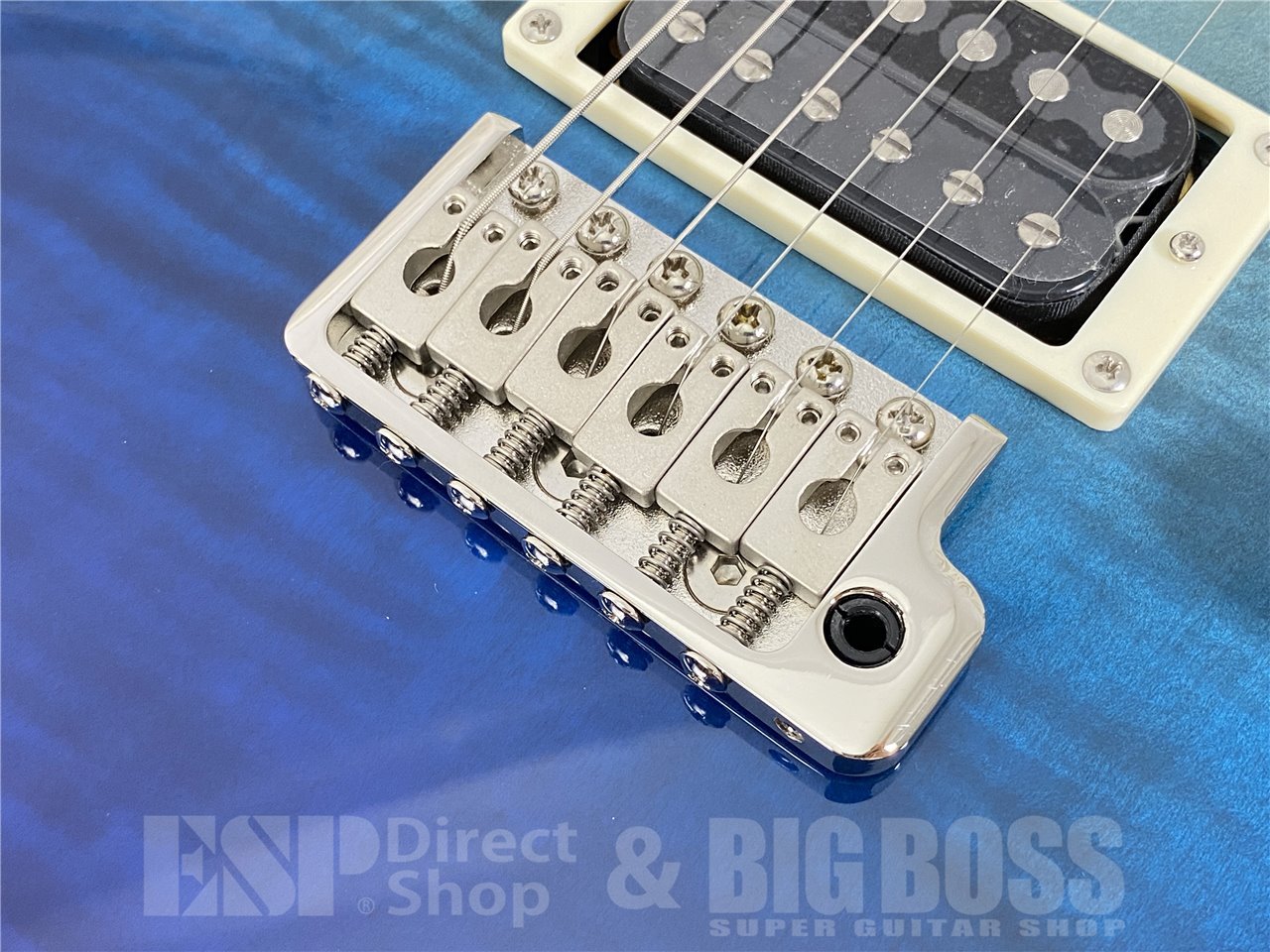 【即納可能】Paul Reed Smith(PRS/ポールリードスミス) SE Custom 24 / Blue Fade (2025年製 S/N CTI H026131) お茶の水駅前店(東京) - 5