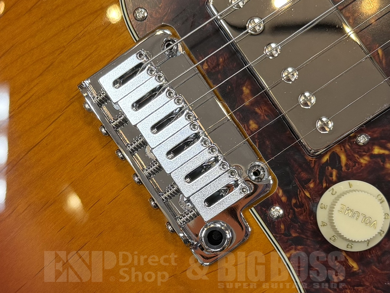 【即納可能】EDWARDS E-SNAPPER-AL/R/3 Tone Sunburst GWS - 5