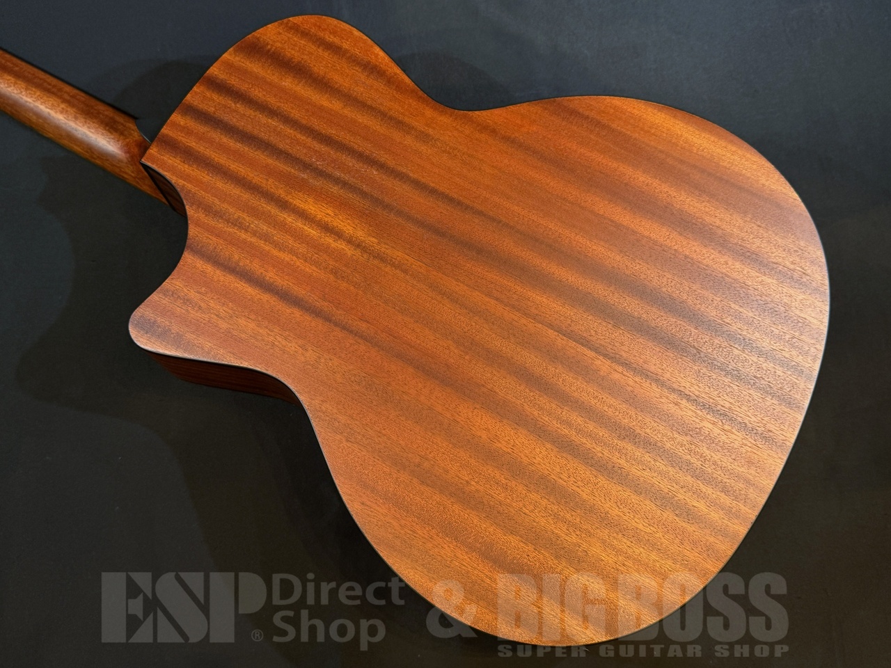【即納可能】Eastman(イーストマン) PCH1-GACE 大阪店 - 6