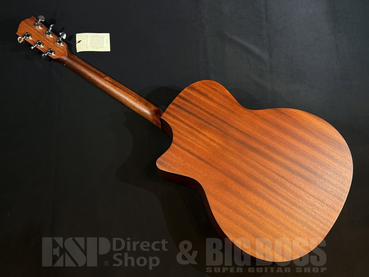 【即納可能】Eastman(イーストマン) PCH1-GACE 大阪店 - 5