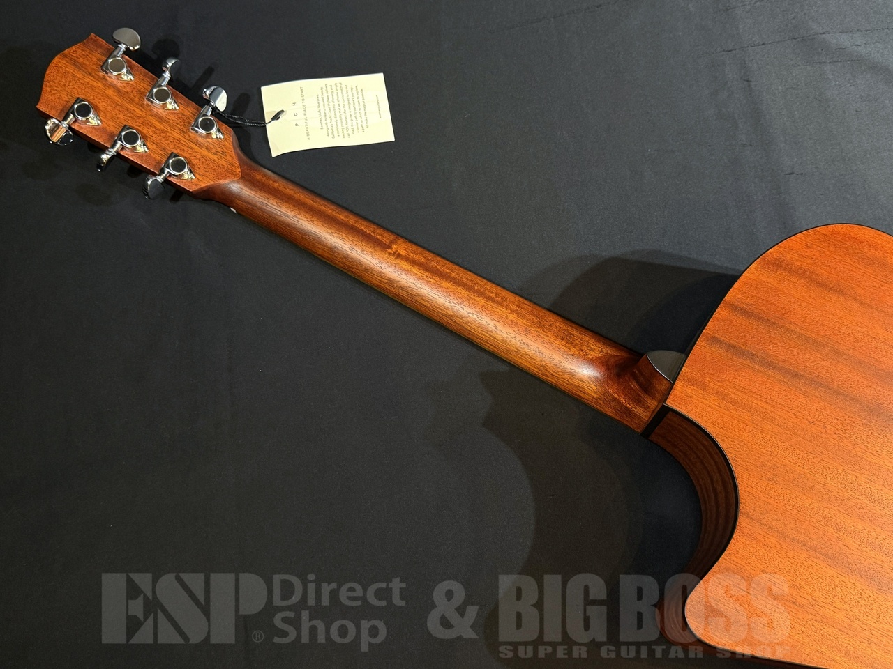 【即納可能】Eastman(イーストマン) PCH1-GACE 大阪店 - 7