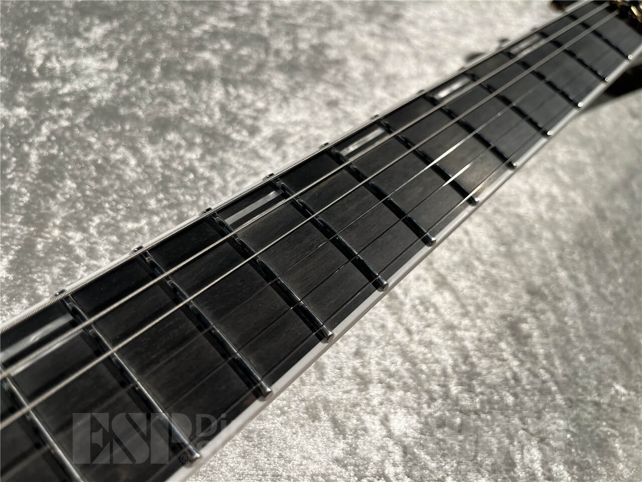 【即納可能】EDWARDS(エドワーズ) E-HORIZON-CTM 50TH (Ash Black Burst C / Black Pearl Back) 札幌店 - 4
